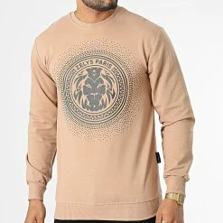 Top 10 🎁 Sweat Crewneck Strass Resta Camel de Zelys Paris 🥰